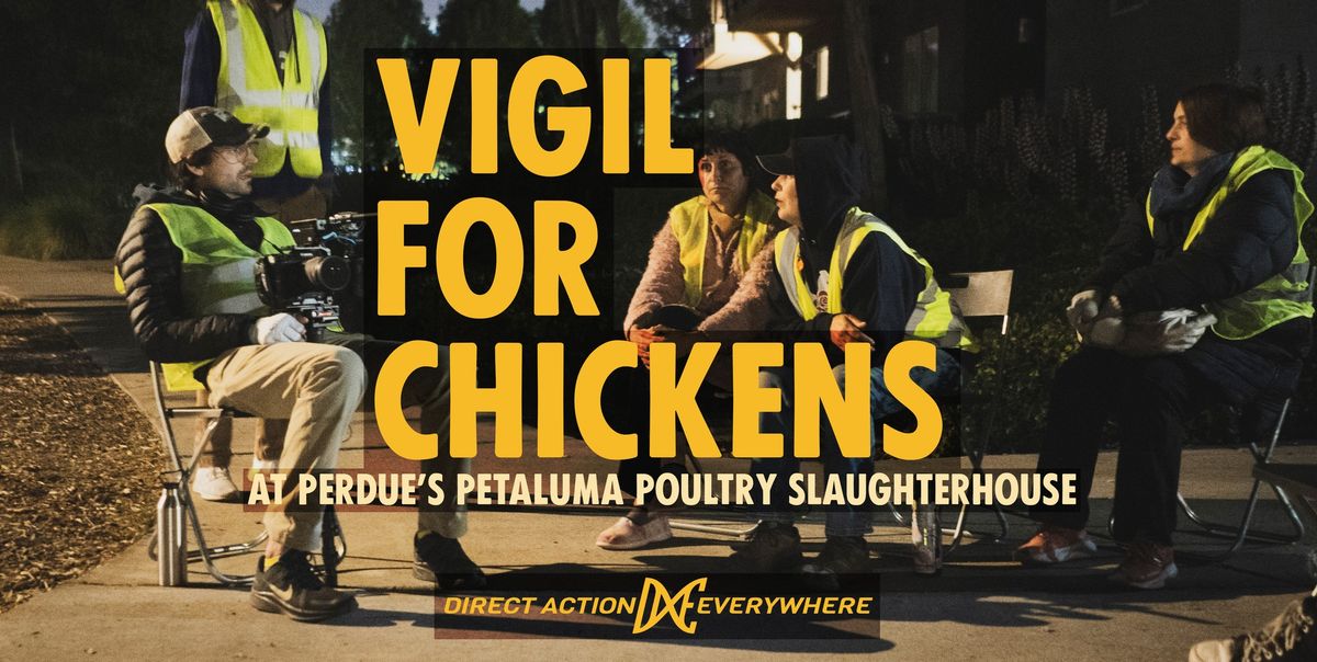 Vigil for Chickens at Perdue's Petaluma Poultry Slaughterhouse