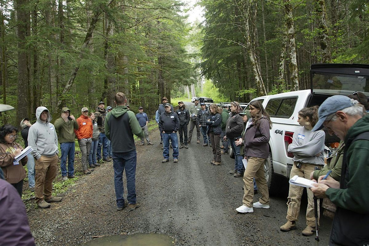 Breath of the Forest