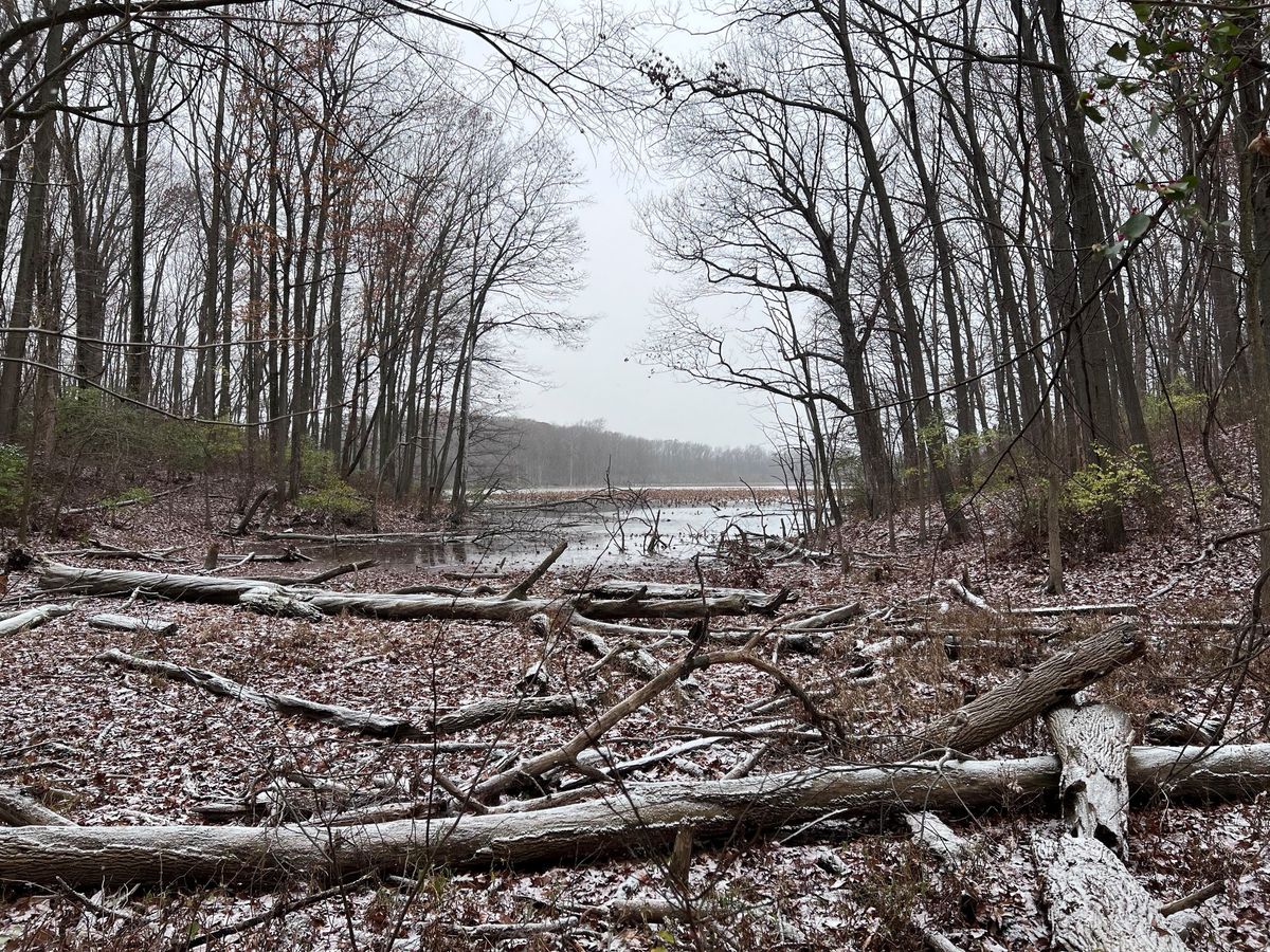 Winter Solstice Hike