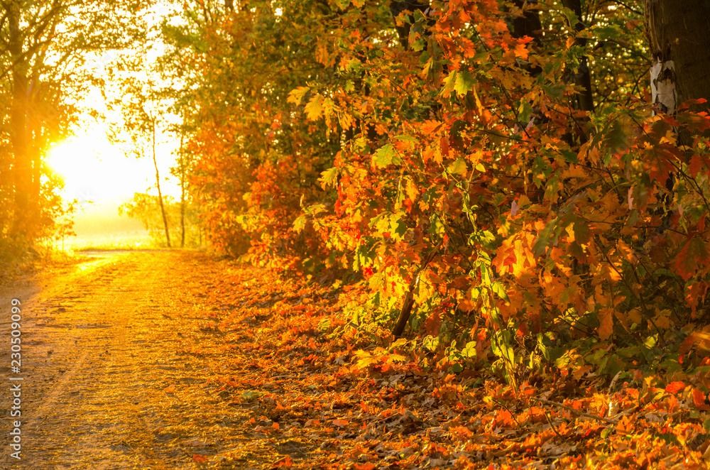 Autumnal Equinox Sunset Hike