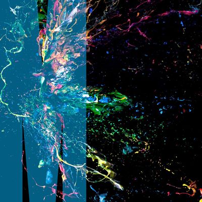 Monash Entrepreneurship Portfolio