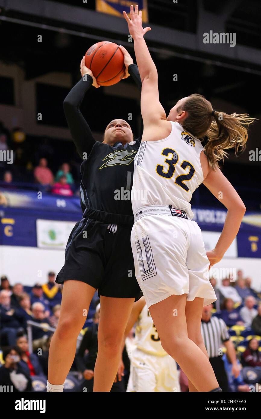 Kent State Golden Flashes Women's Basketball vs. Akron Zips