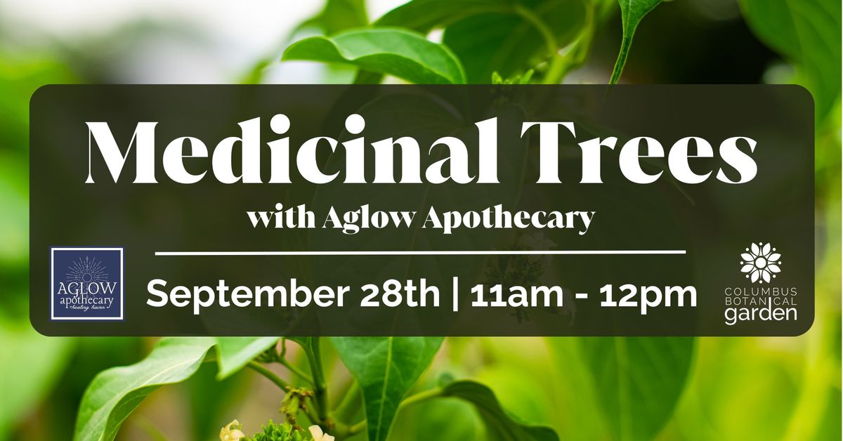 Medicinal Trees with Aglow Apothecary 