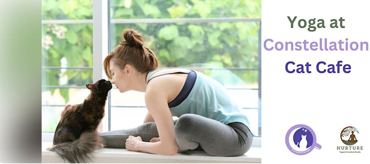  June 18th Yoga at Constellation Cat Cafe