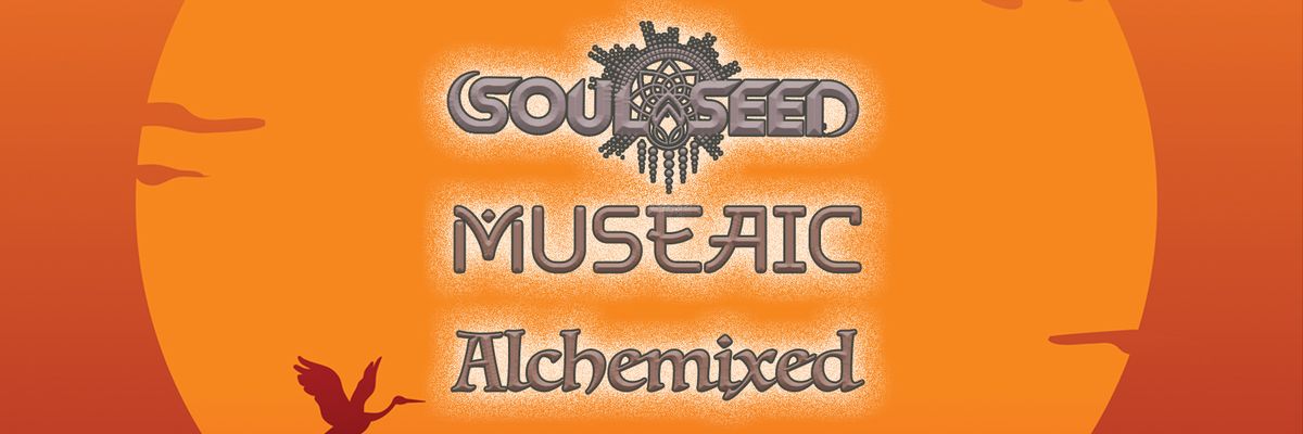 The LRSC presents a Thanksgiving afterparty with Soulseed, MUSEAIC, and Alchemixed