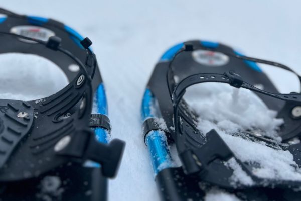 Guided Snowshoe Hike