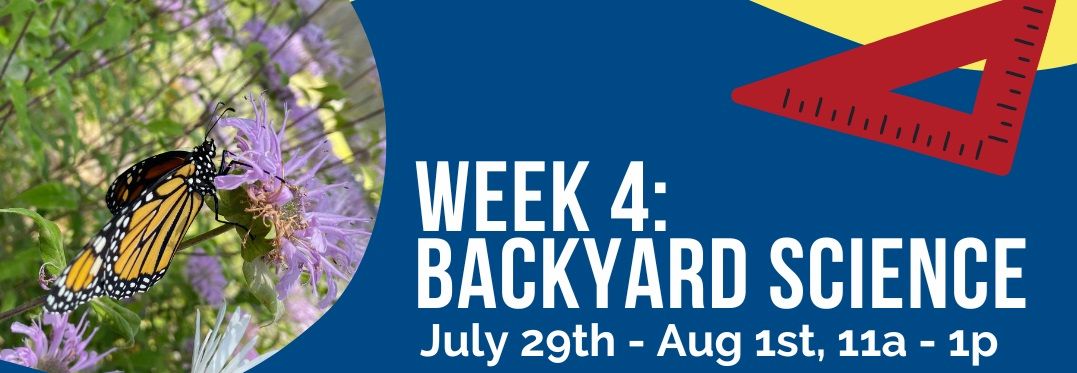 Dream Builders Middle School STEAM Program! Week 4 - Backyard Science