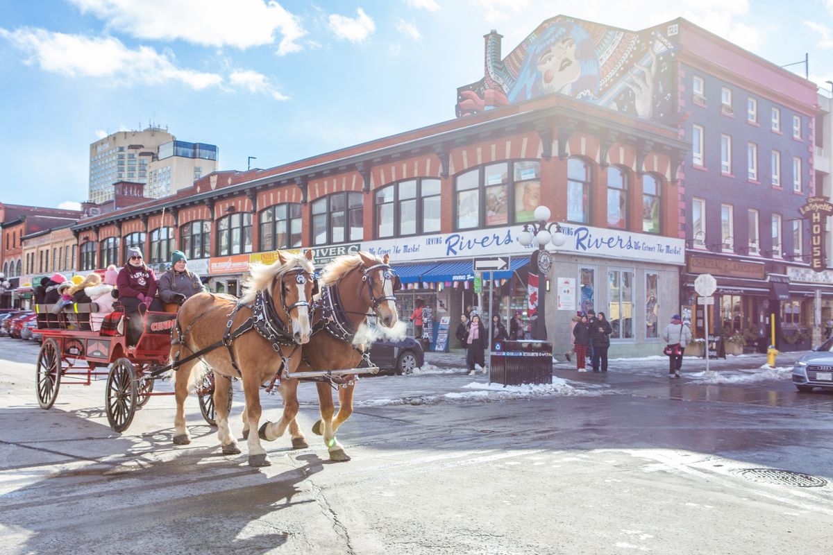 Horse Drawn Carriage Rides by Cundell Stables 