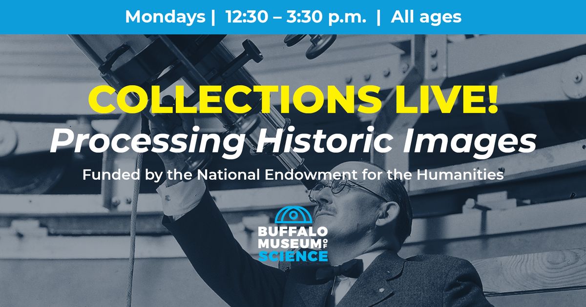 Collections Live: Processing Historic Images (All ages)