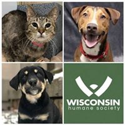 Green Bay Campus - Wisconsin Humane Society