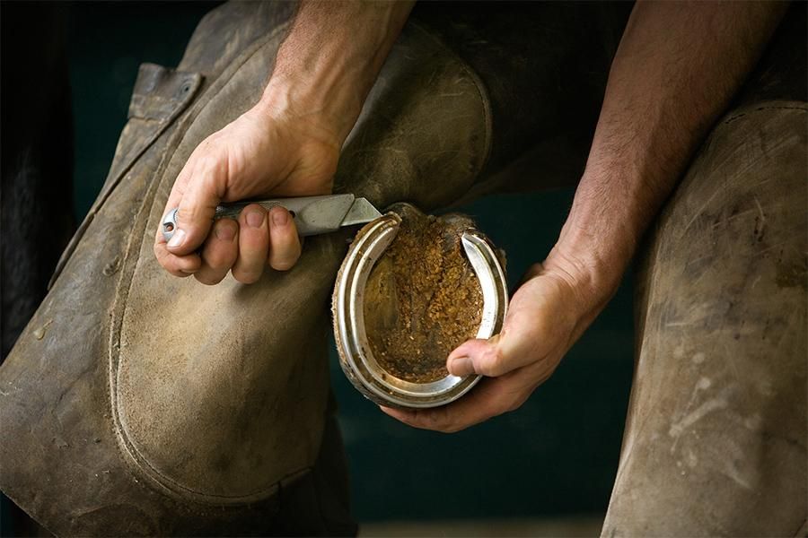 Floats and Farriers Clinic. 