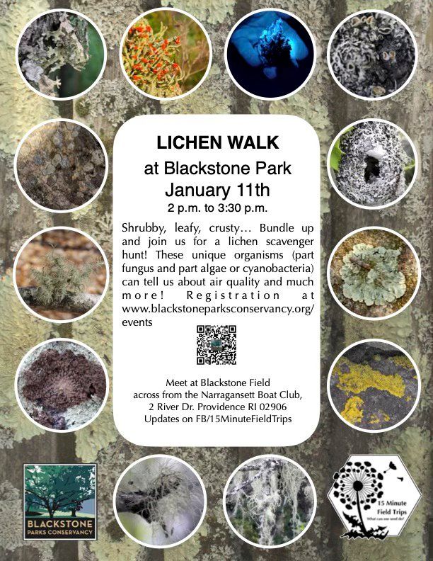 Lichen Walk