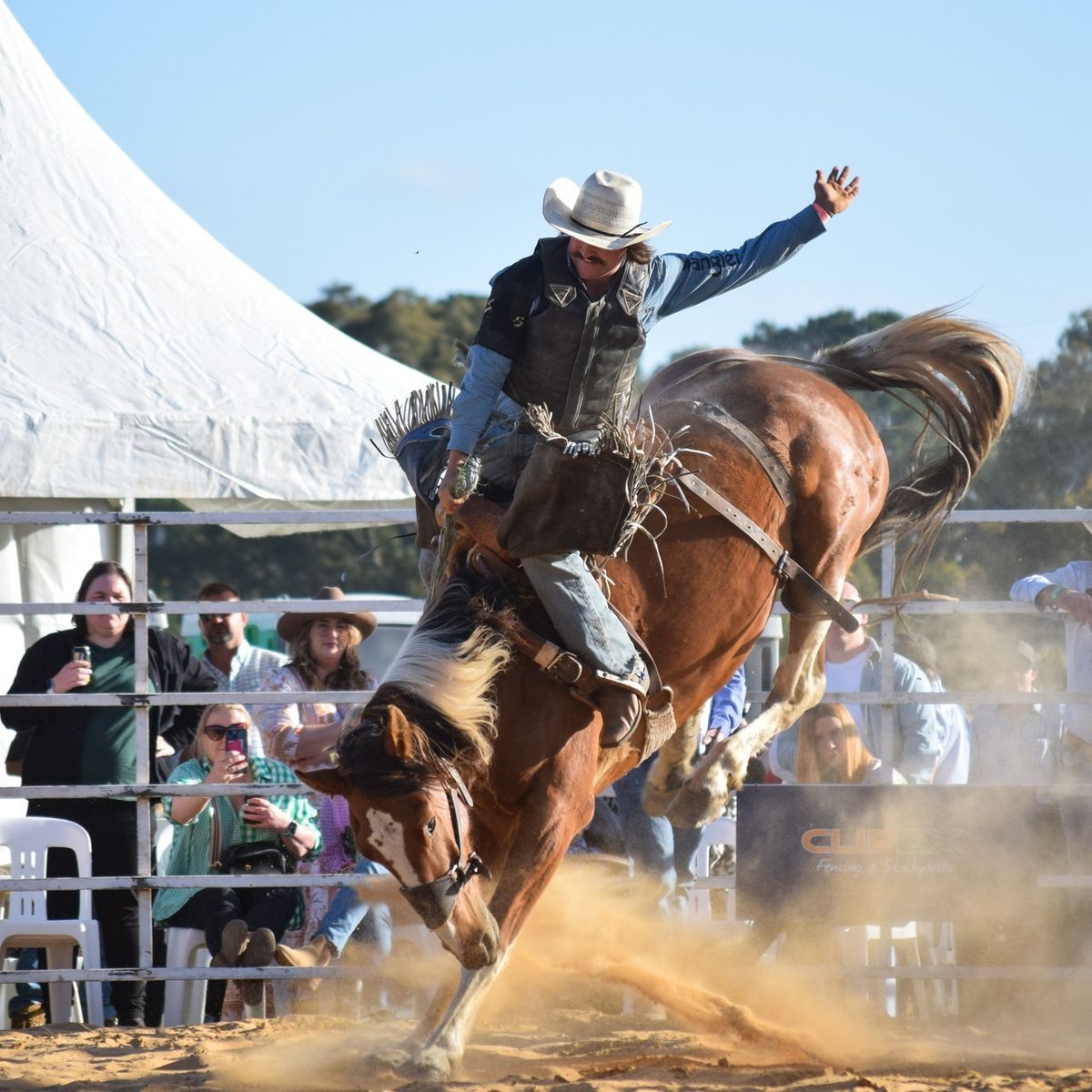 Clipex Hamilton Rodeo 2024