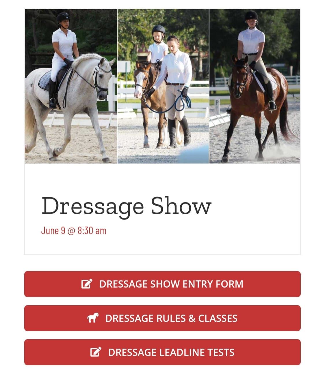 Dressage Show