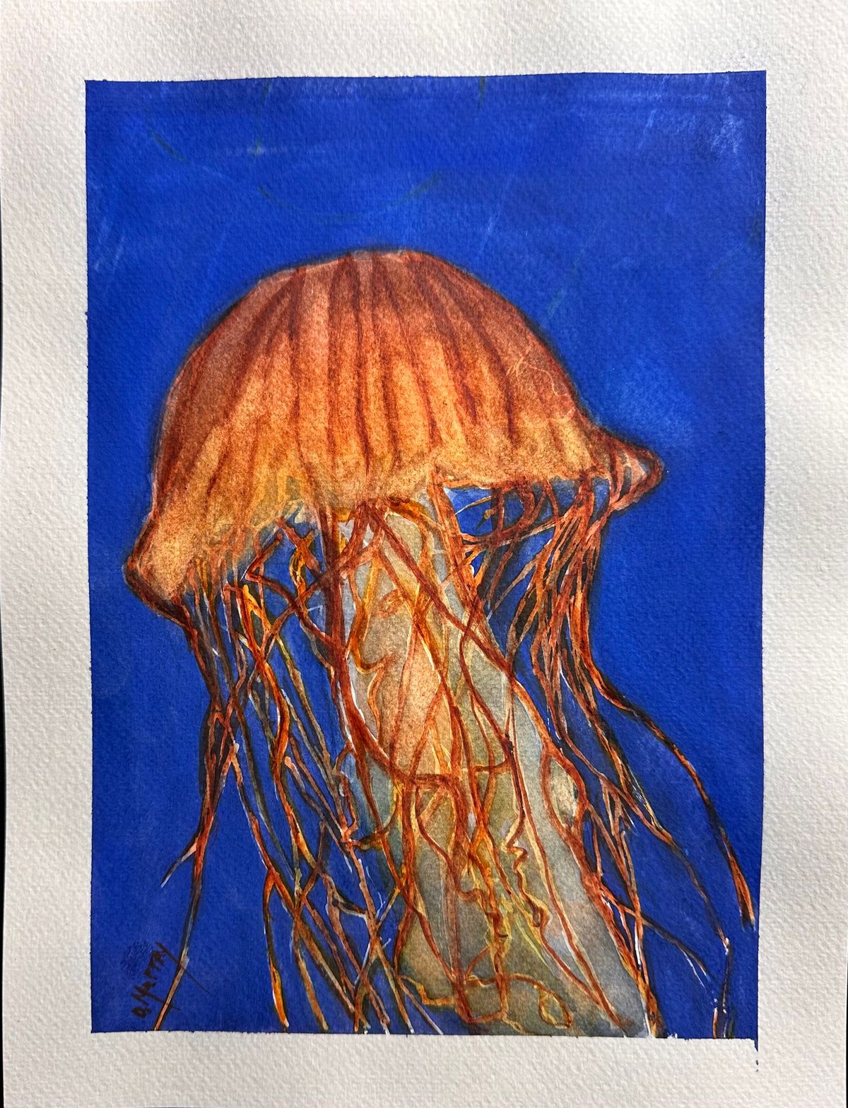 Jellyfish Watercolor Workshop with Dianne Murray