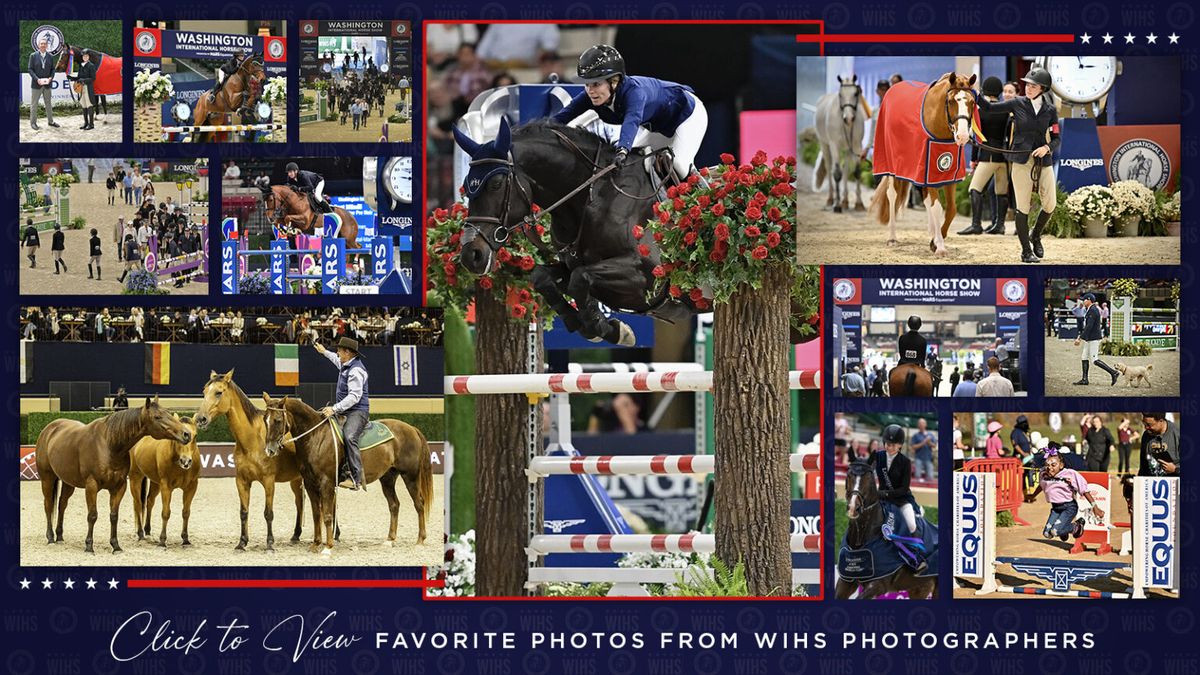 Washington International Horse Show