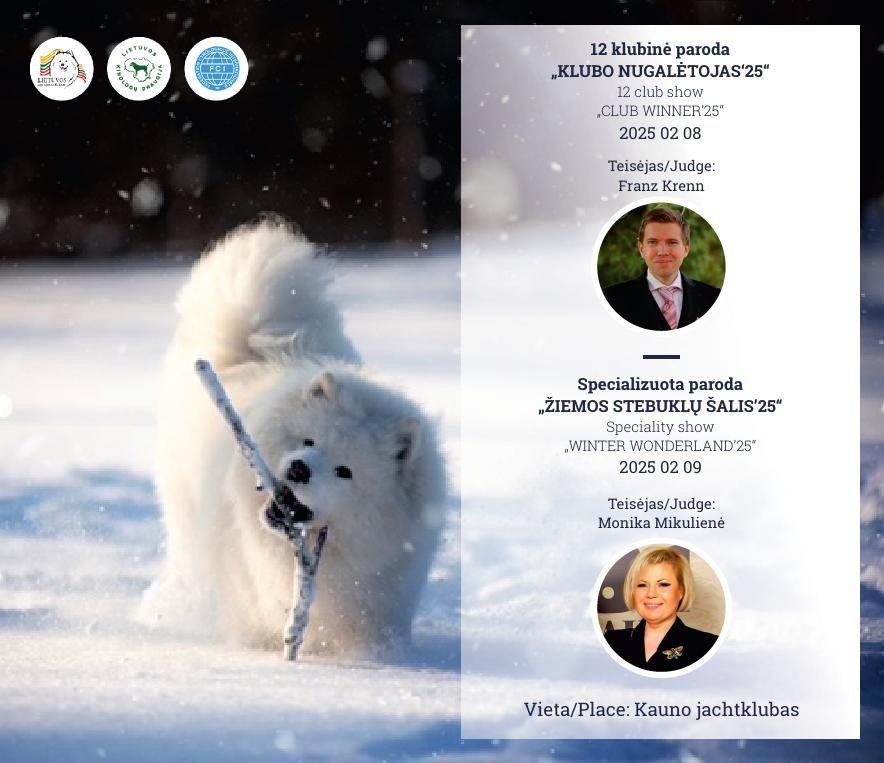 Lietuvos Samojed\u0173 klubas | Club Winner\u201925 and Winter Wonderland\u201925