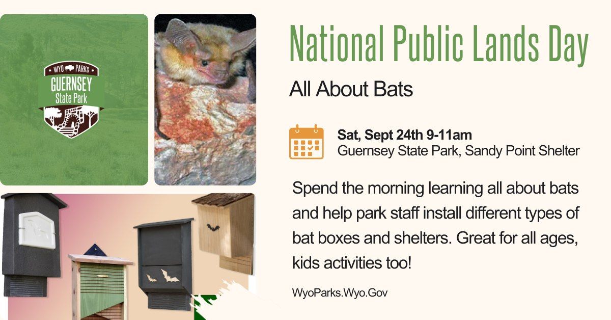 National Public Lands Day- All About Bats