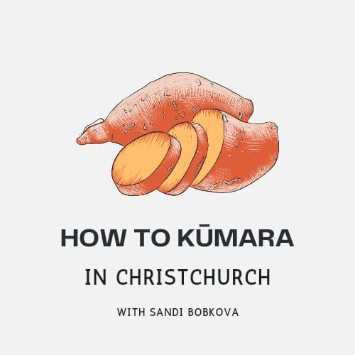 How to K\u016bmara in Christchurch 