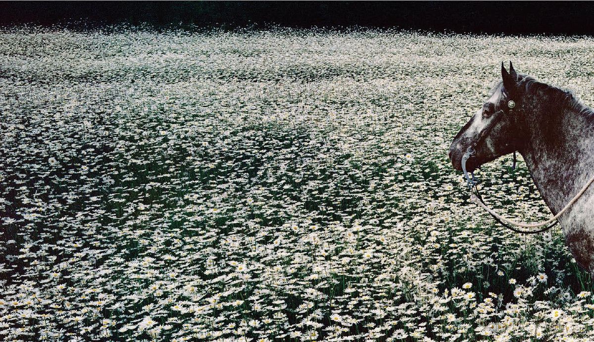 SF Sketchfest with Stayin' Alive - Tribute to The Bee Gees