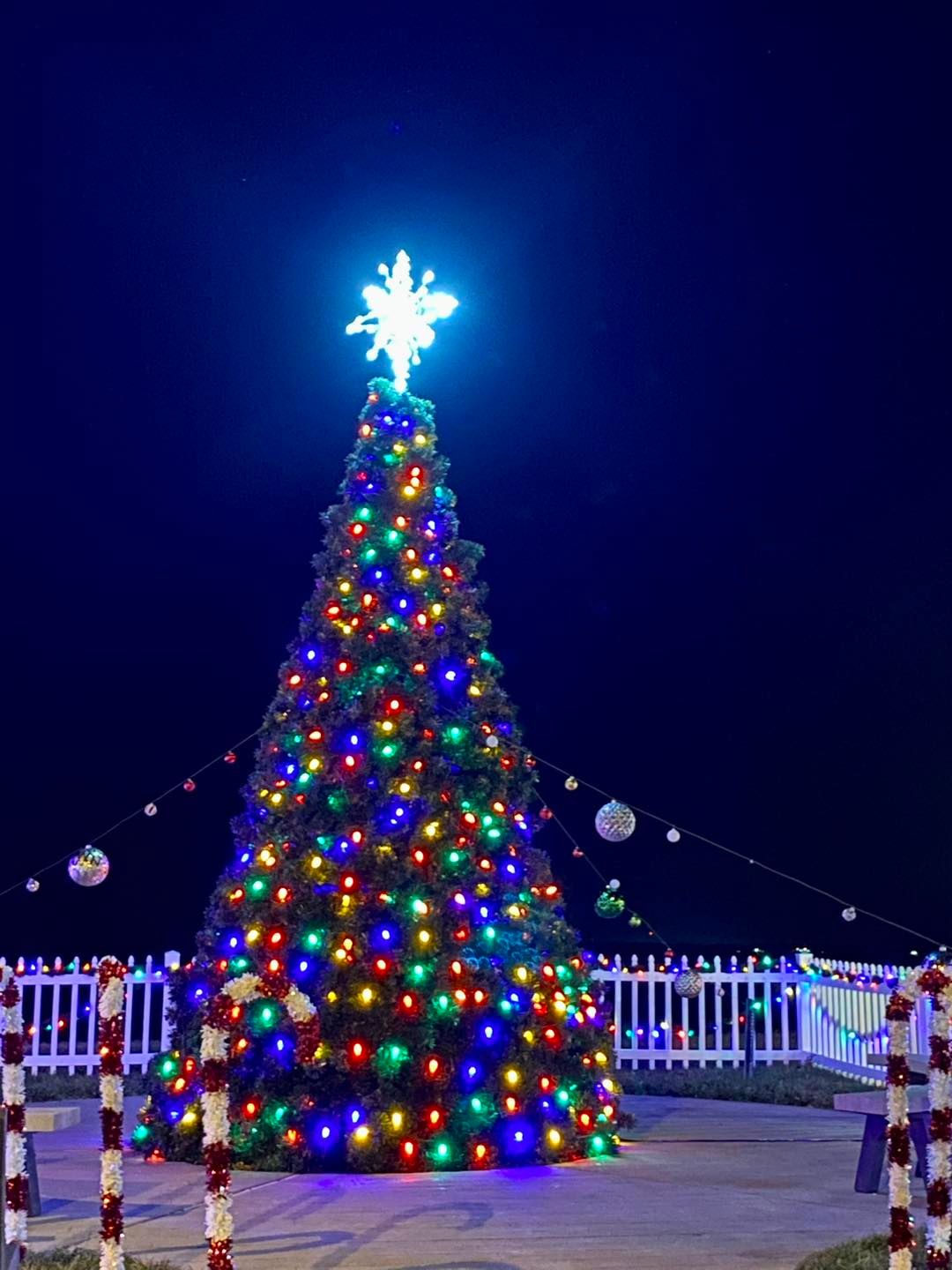 Wildwood Crest Tree \ud83c\udf32 Lighting 