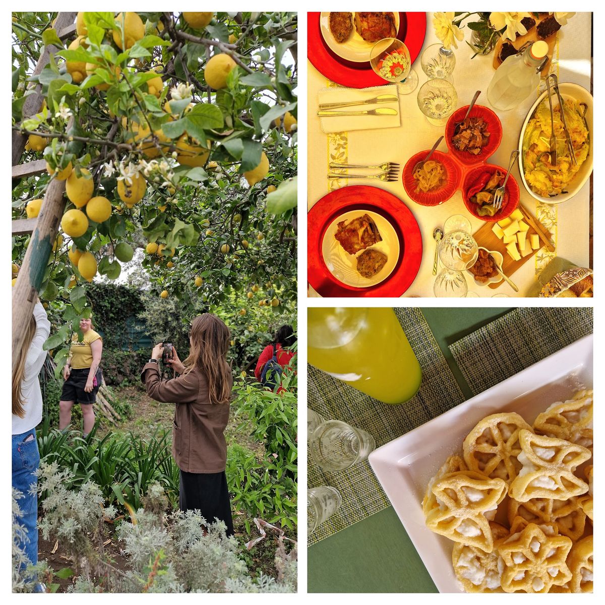 Lemon Harvest &Sicilian dinner @Pozzillo Lemon House