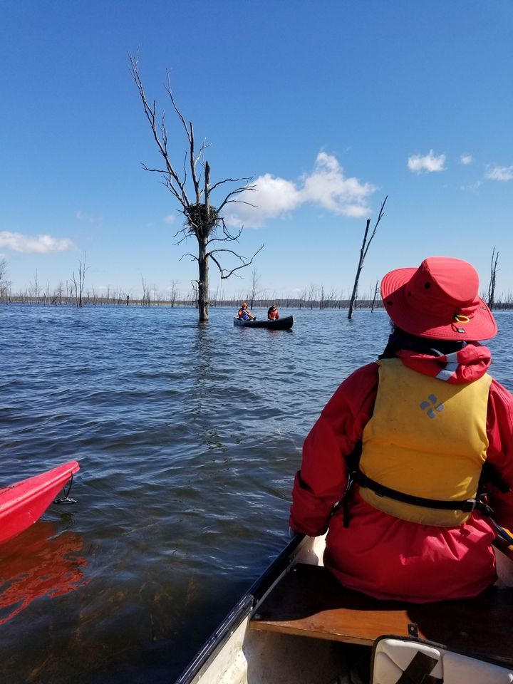 Minesing Wetlands Spring Paddle
