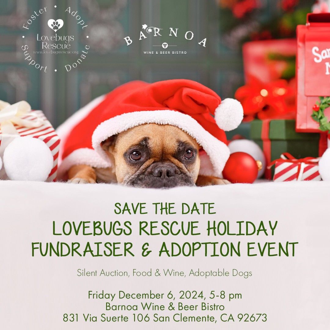 Lovebugs Rescue Holiday Fundraiser & Adoption Event