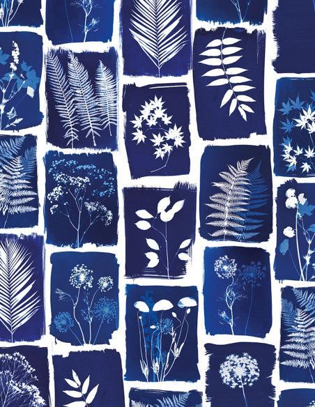 IMPRESSION BOTANIQUE CYANOTYPE