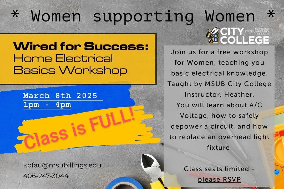 Home Electrical Workshop for Women (FULL)