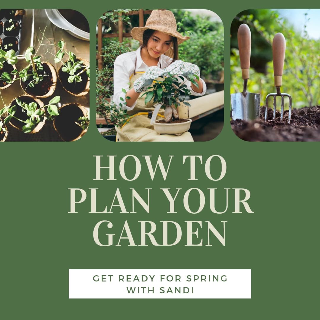 How to Plan your Edible Garden 