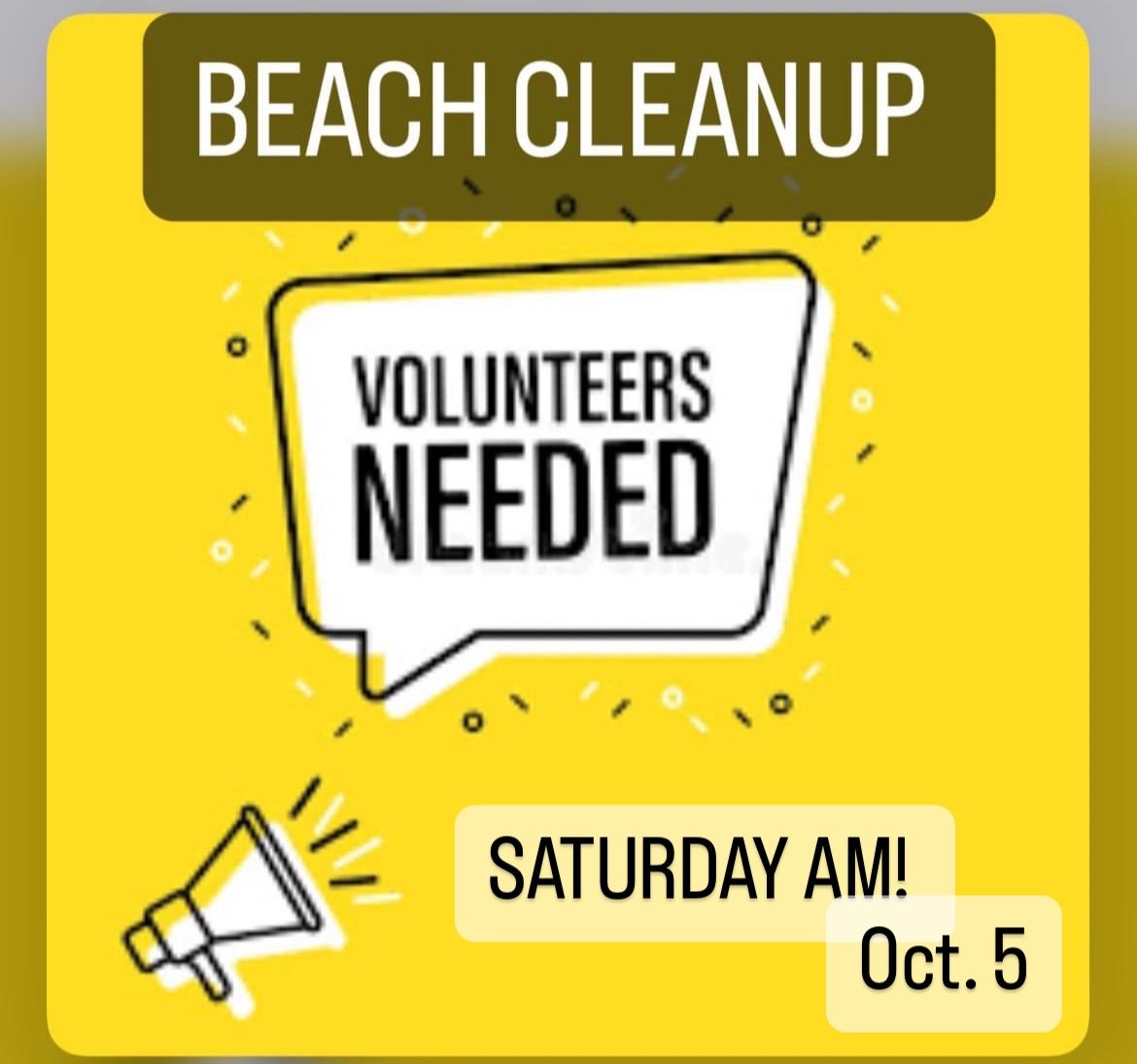 Hurricane Helene Emergency Beach Cleanup 