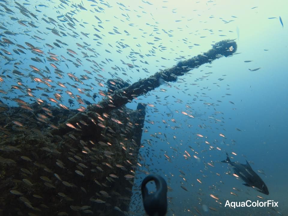 Dive Club Meeting - The Other Carolina - Shipwrecks and Sharks Teeth: Dive Sites in SC