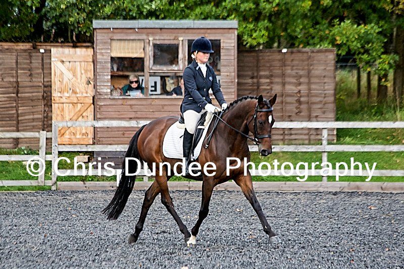 BD\/MQ\/TQ & Unaffiliated Dressage Competition