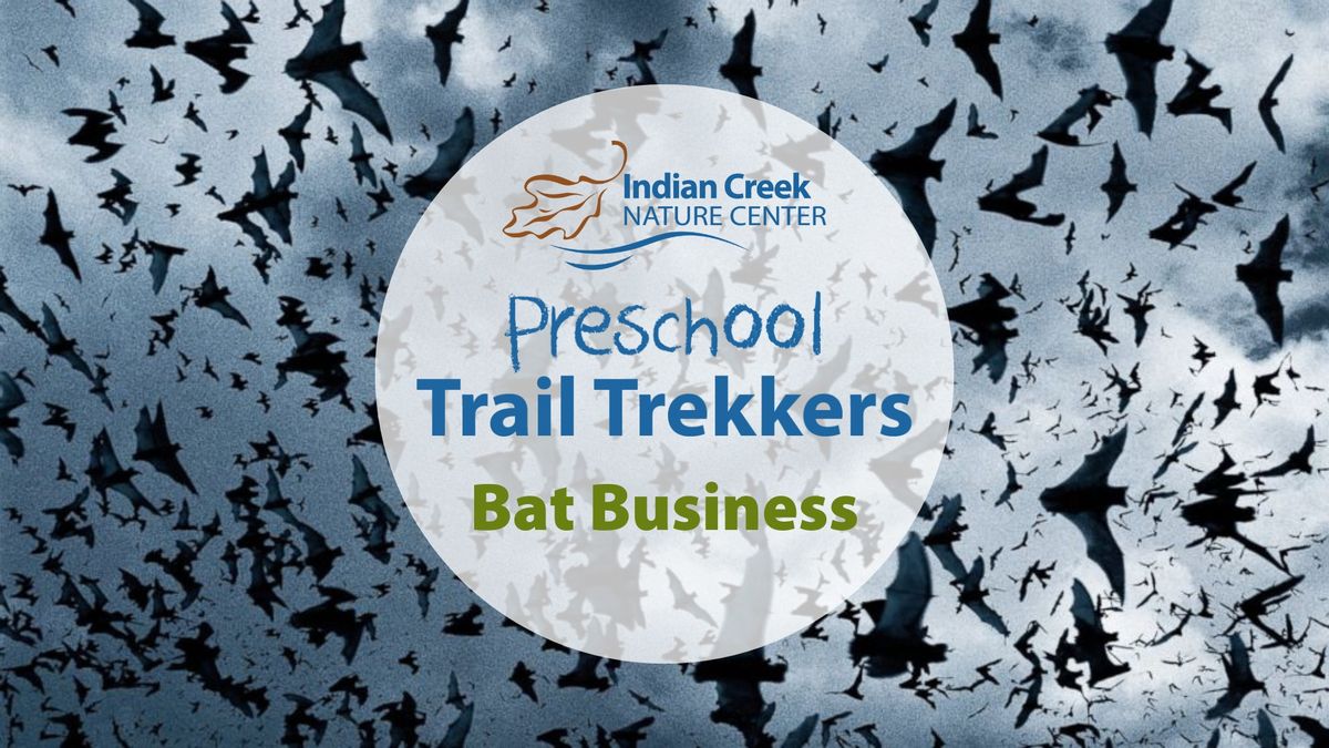 Trail Trekkers - Bat Business