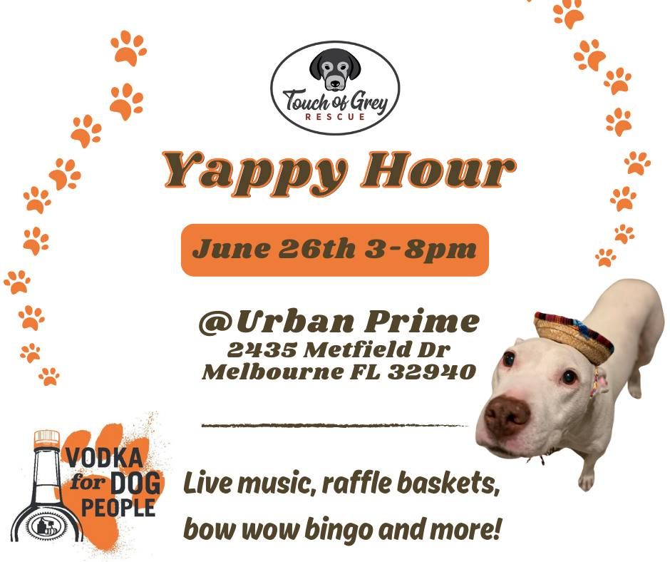 Touch of Grey Rescue Yappy Hour @Urban Prime