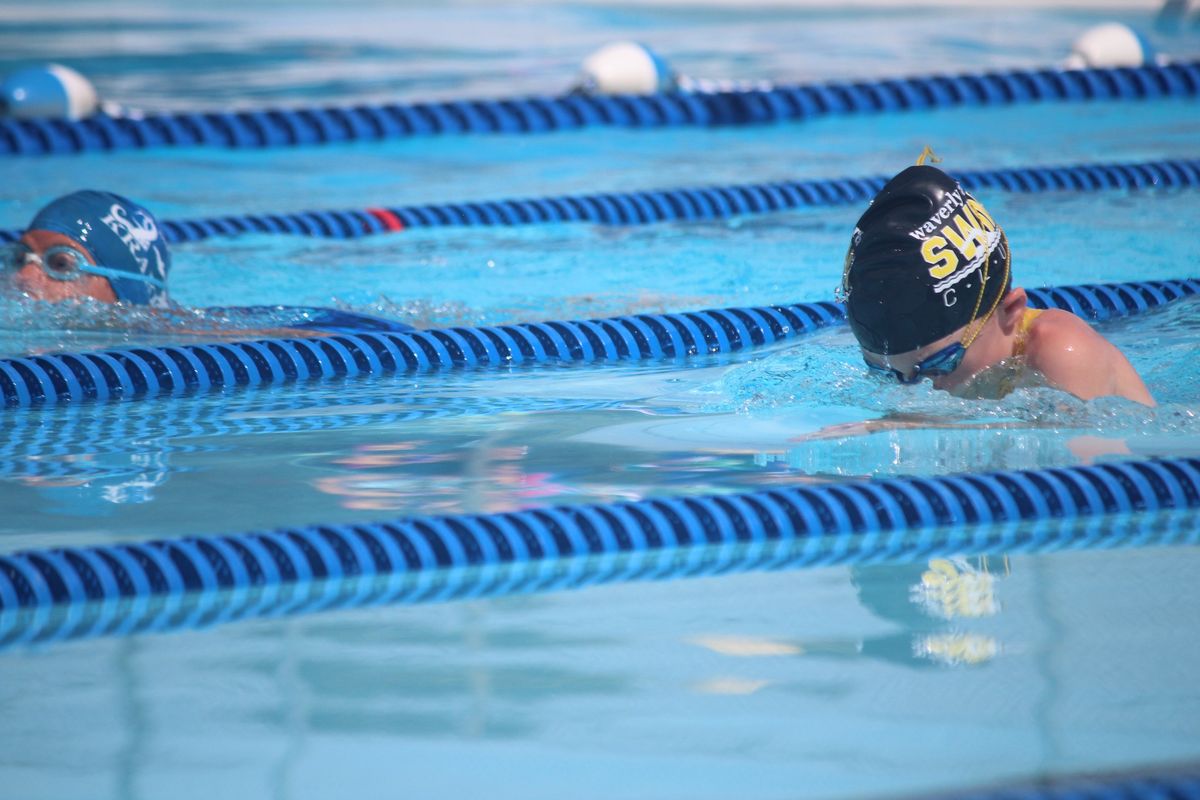 Iowa Swimming - 2024 State Long Course Championships