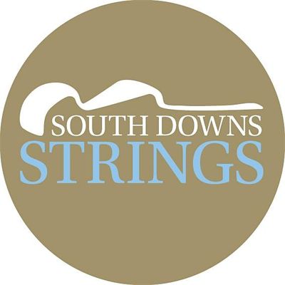 South Downs Strings Ltd