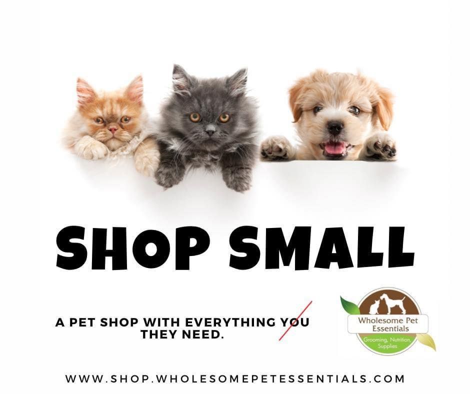 Shop Small with US