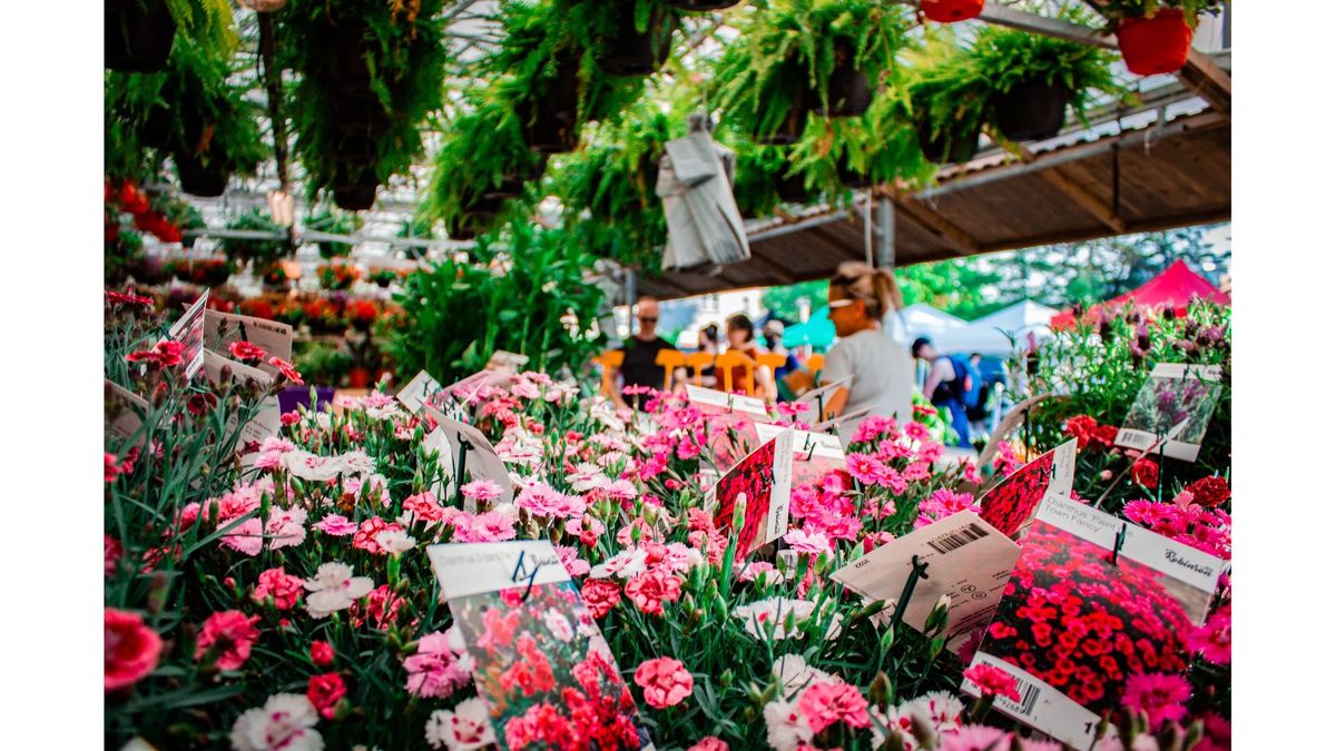Mother's Day Flower Market