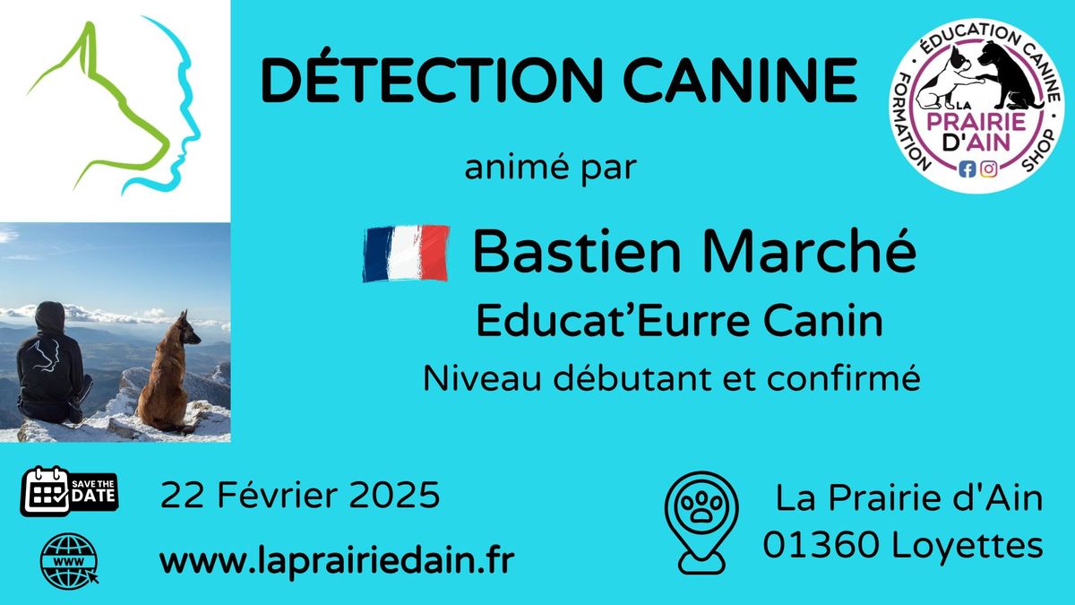 D\u00e9tection Canine anim\u00e9 par Bastien March\u00e9