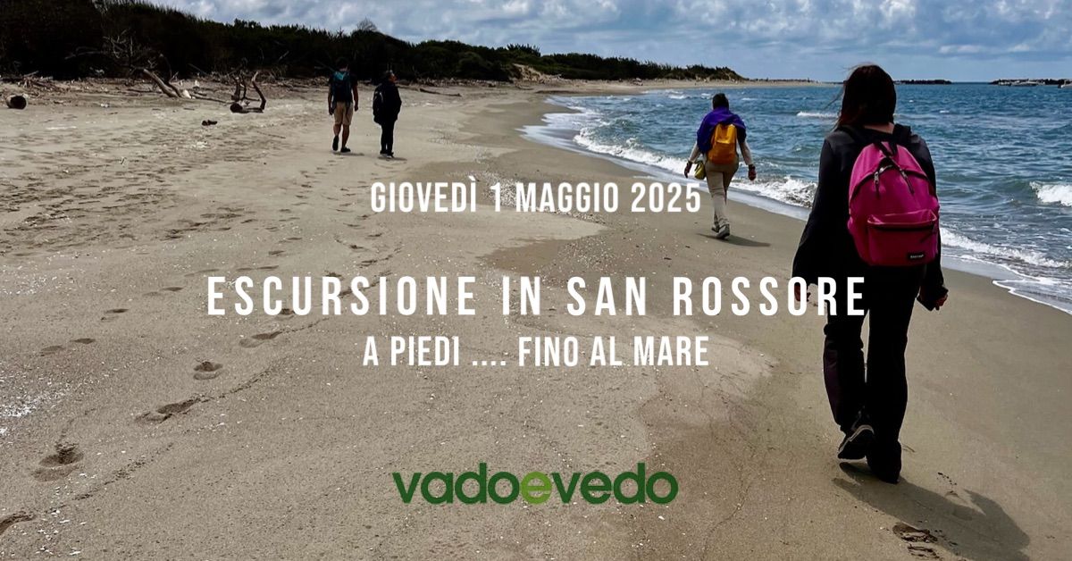 Escursione nella Tenuta di San Rossore ... fino al mare