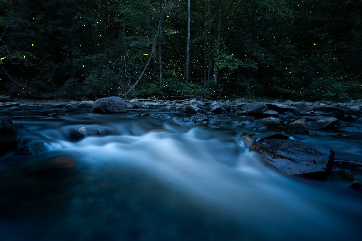 Evening of the Equinox