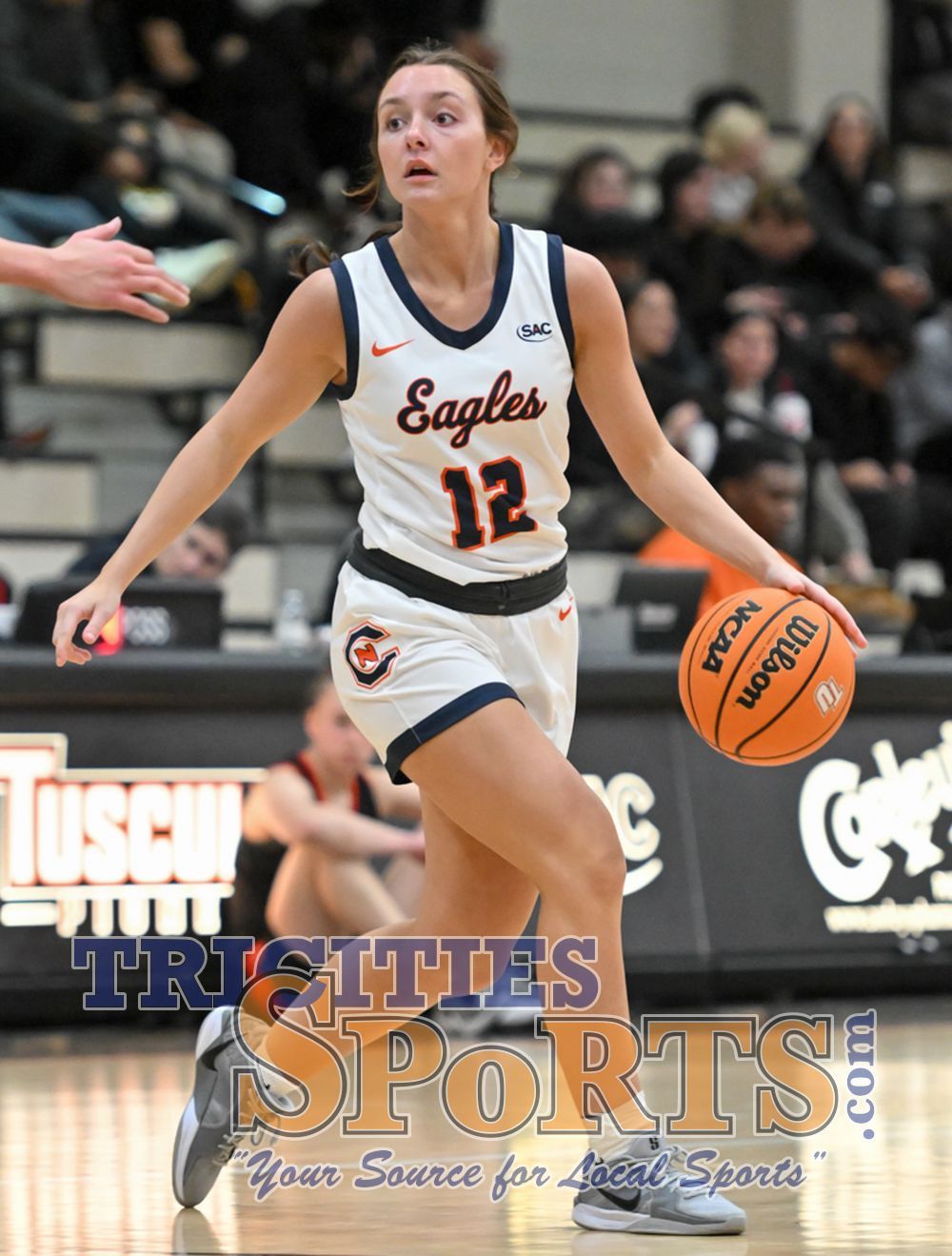 Anderson Trojans vs. Carson Newman Eagles