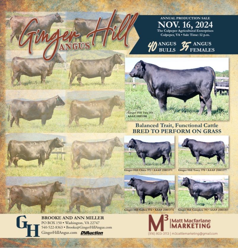 Ginger Hill Angus Annual Production Sale! 