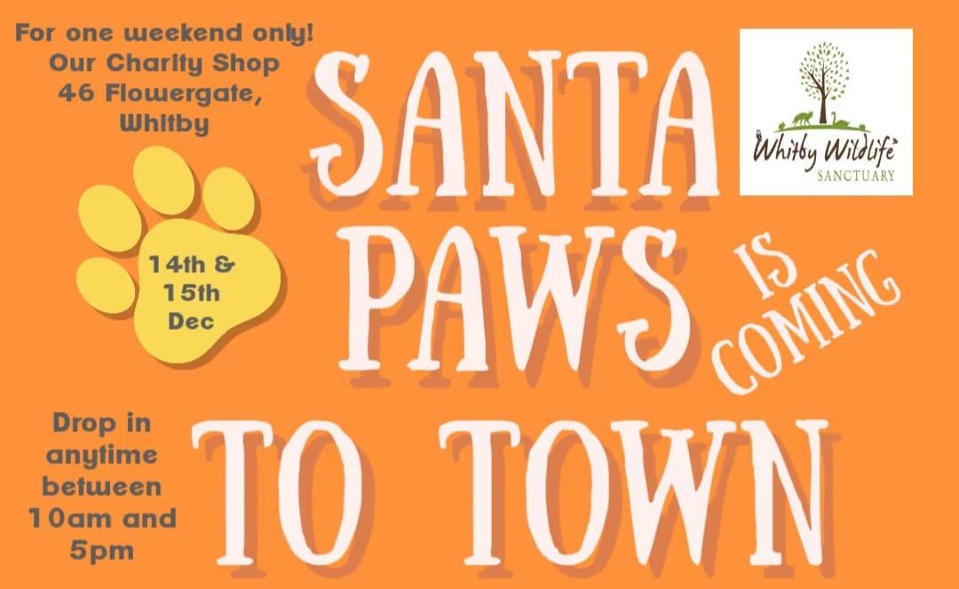 Santa Paws Christmas Grotto! 