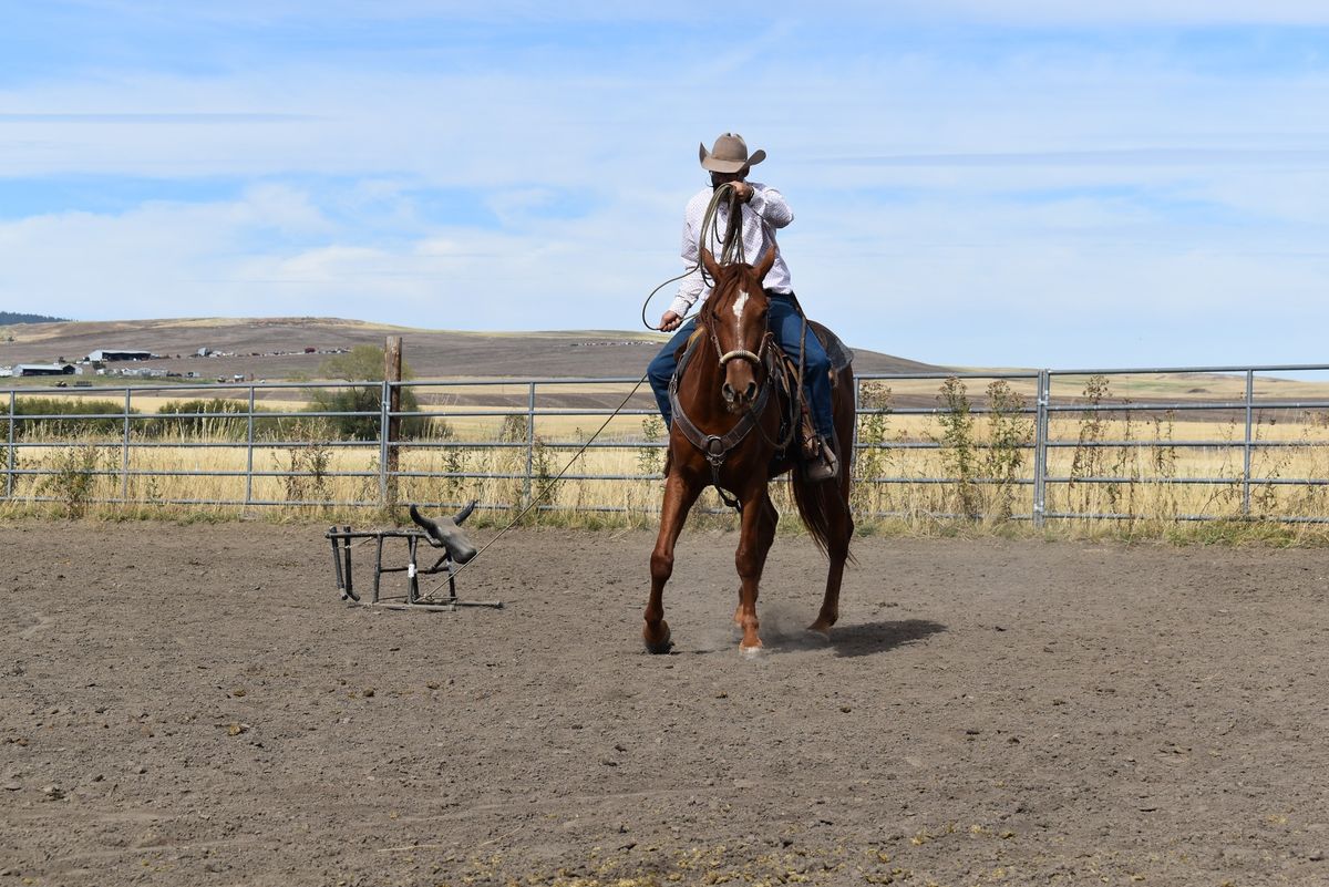 Working Ranch Horse clinic