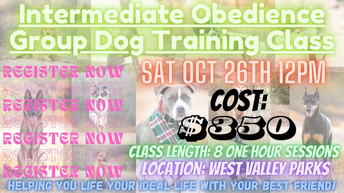 Intermediate Group Dog Training Class - Every Satuarday - 1 Hour - 8 Weeks