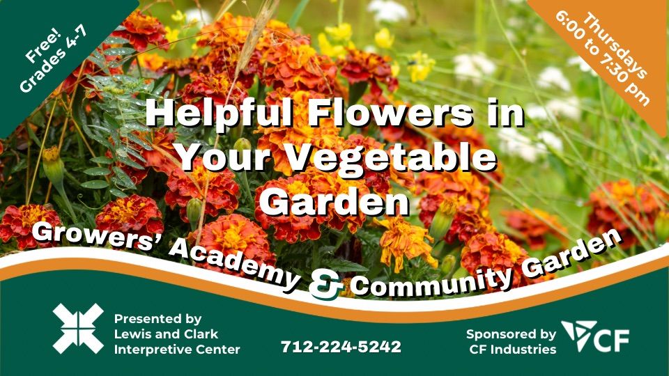 Growers\u2019 Academy: Helpful Flowers in Your Vegetable Garden