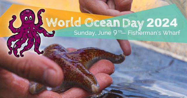 10th Annual World Ocean Day Celebrations at Fisherman's Wharf